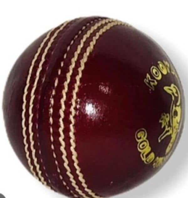 Cricket Hard ball 0