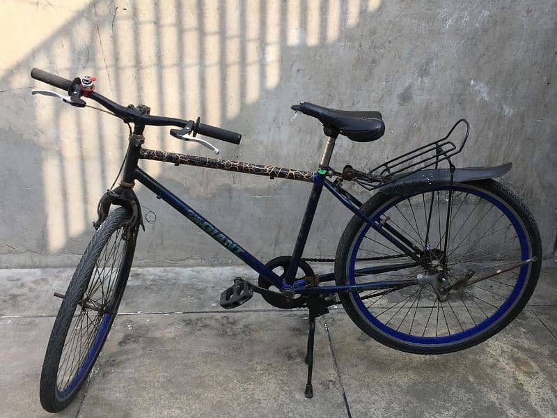 gaint bicycle phone number 03158548924 1