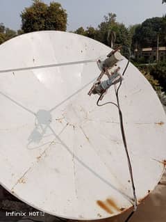 dish