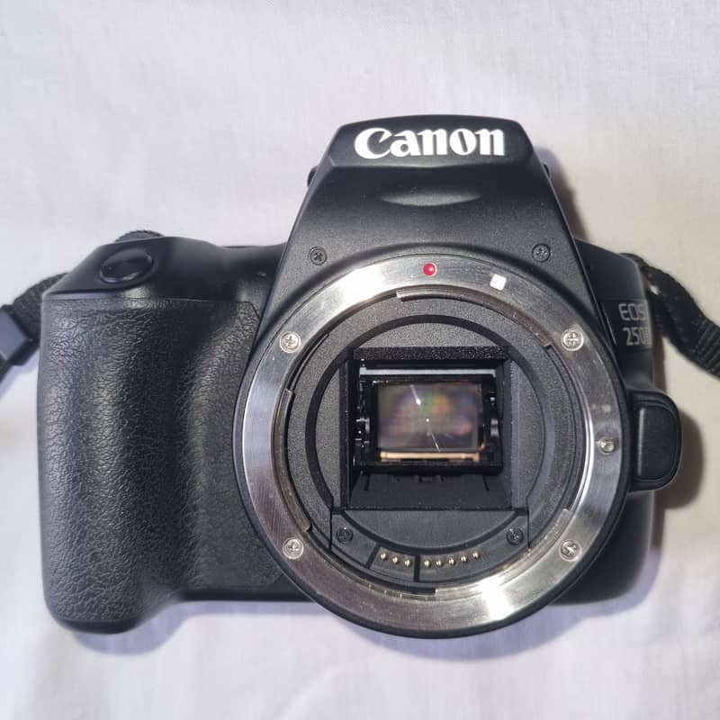 Canon EOS 250D ( EF-S 18-55 IS STM Kit) 0