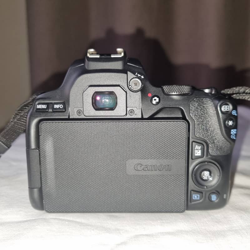 Canon EOS 250D ( EF-S 18-55 IS STM Kit) 8