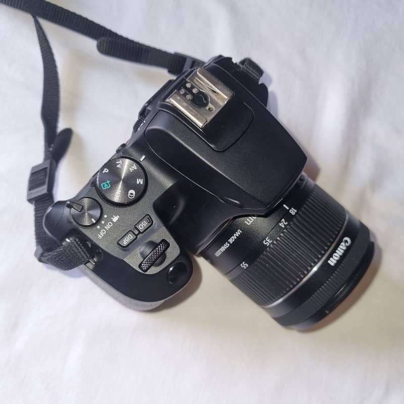 Canon EOS 250D ( EF-S 18-55 IS STM Kit) 12