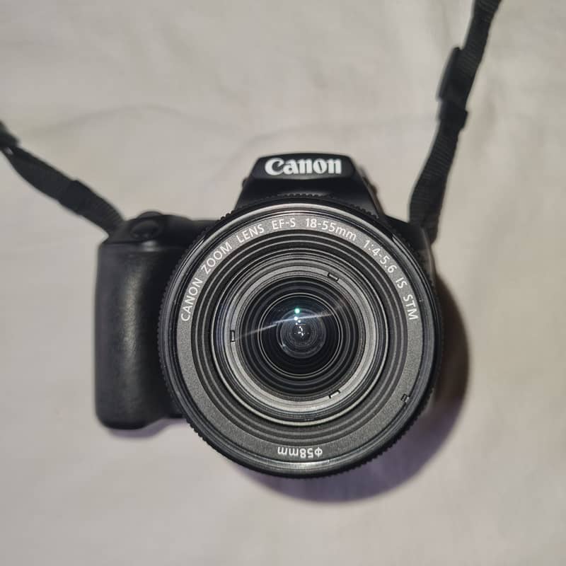 Canon EOS 250D ( EF-S 18-55 IS STM Kit) 13