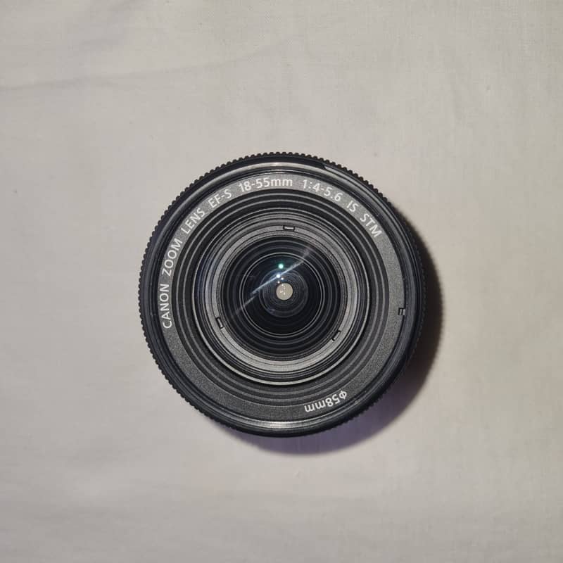 Canon EOS 250D ( EF-S 18-55 IS STM Kit) 16