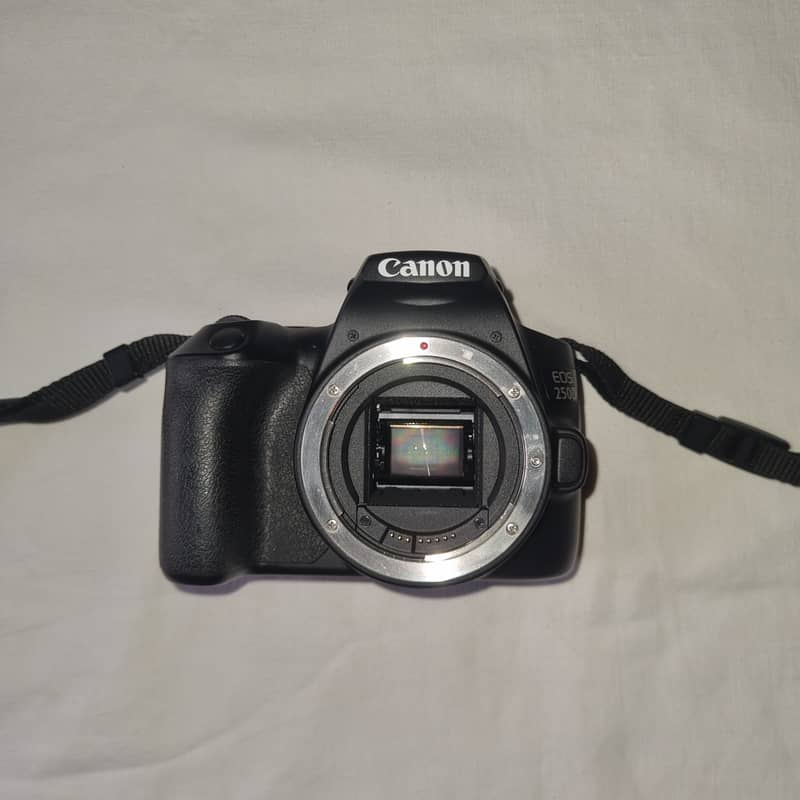 Canon EOS 250D ( EF-S 18-55 IS STM Kit) 18