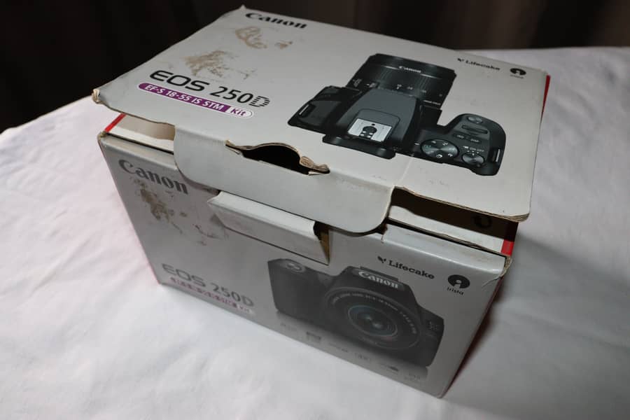 Canon EOS 250D ( EF-S 18-55 IS STM Kit) 19