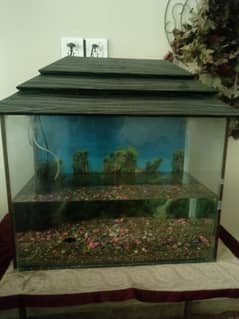 Aquarium For Sale With All Accessories