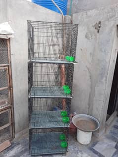 fulding cages 1month use