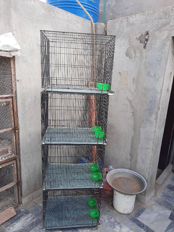 fulding cages 1month use 0