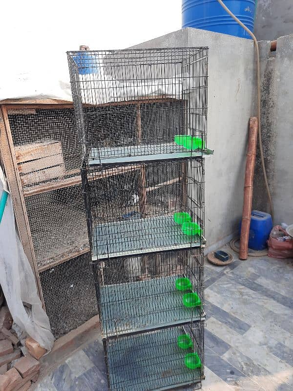 fulding cages 1month use 1