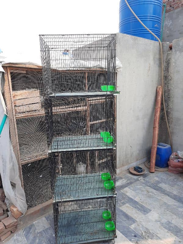 fulding cages 1month use 2