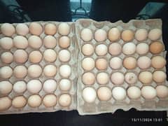 pure desi egg / دیسی انڈے