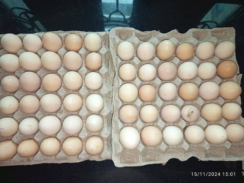 pure desi egg / دیسی انڈے 0