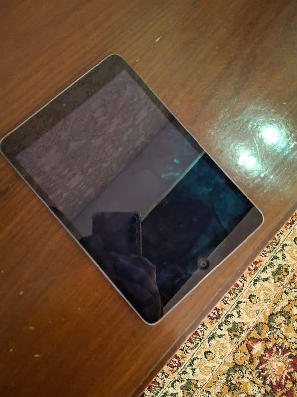 iPad mini 2 0