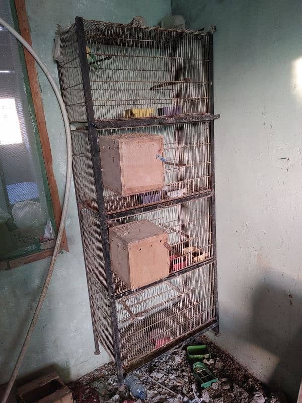 CAGE FOR SALE 0