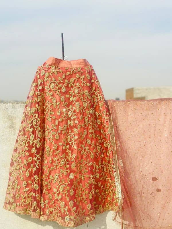 Black Maxie Lavender Maxie Pink lehnga Pistachio lehnga 11