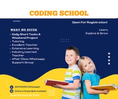 Coding || Programming Teacher