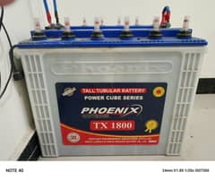 2 Phoenix TX-1800 Tall Tubular Batterys