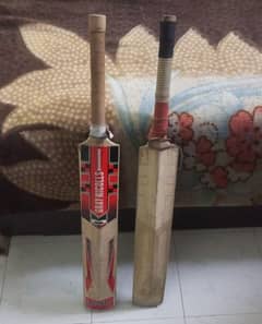 cricket bat