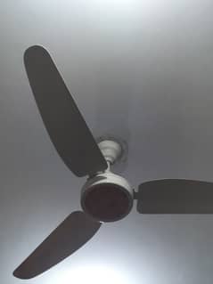 brand new royal fan ceiling fan