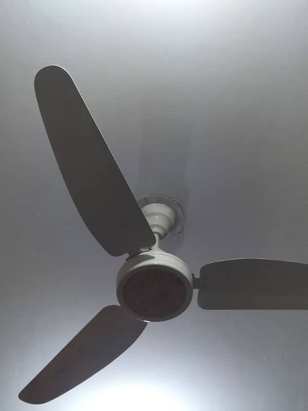 brand new royal fan ceiling fan 0