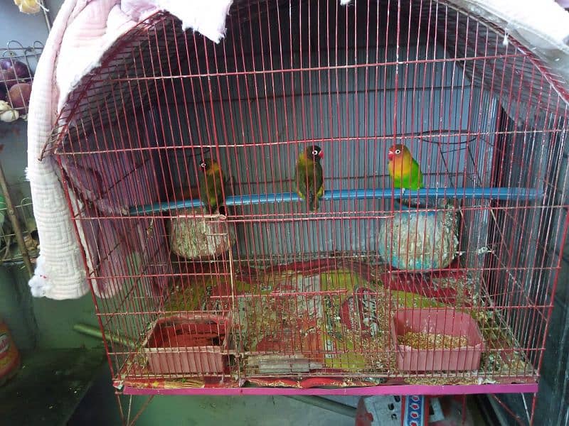 2 pairs of fisher with cage 1