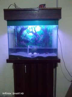 Fish Aquarium