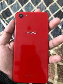 Vivo