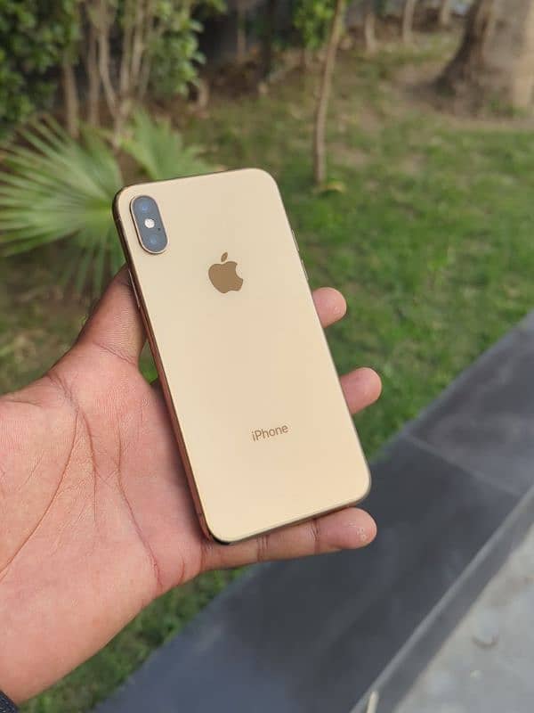 iPhone Xs 256GB PTA Exchange/Sale 1