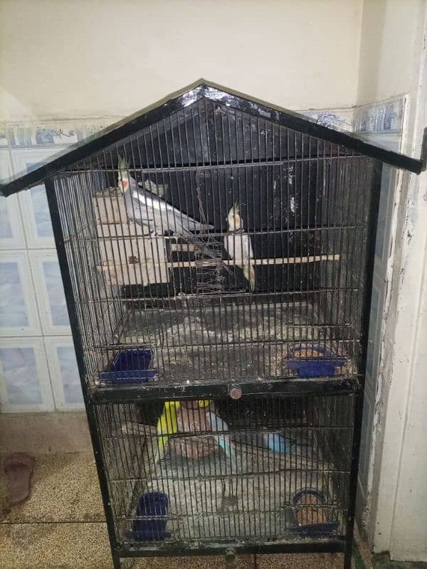 2 portion hut cage 2 cocktail 5 australian for sale 1