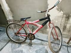 Racing Cycle in OKARA City