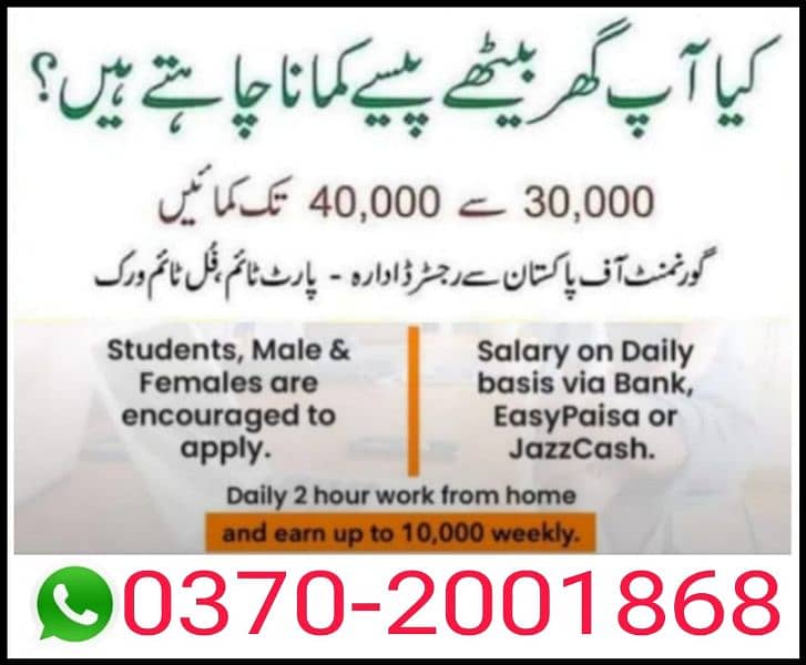 Home work / online Earning 0