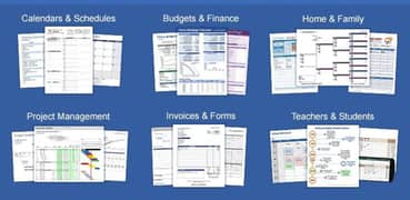 I will provide 200 plus customized excel formats for all your needs