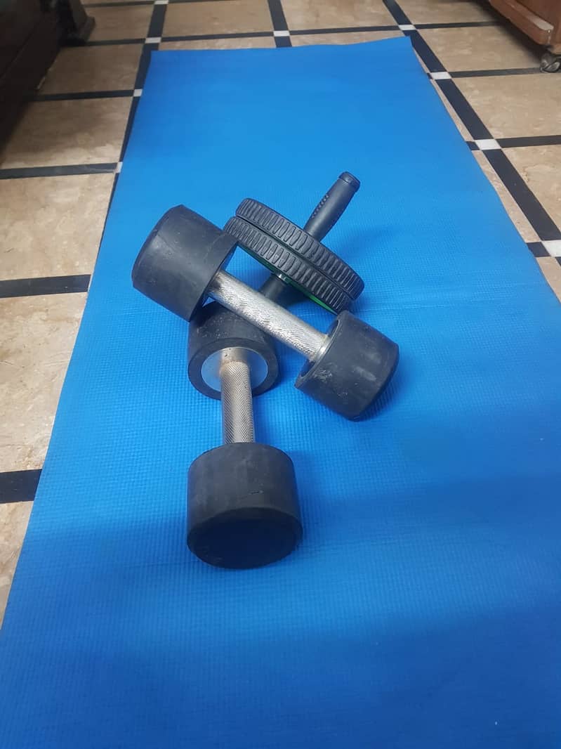 5kg Dumbbells (Pair), Wheel Roller, and Gym Fitness Mat Complete Home 1