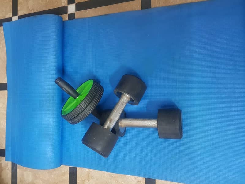 5kg Dumbbells (Pair), Wheel Roller, and Gym Fitness Mat Complete Home 7