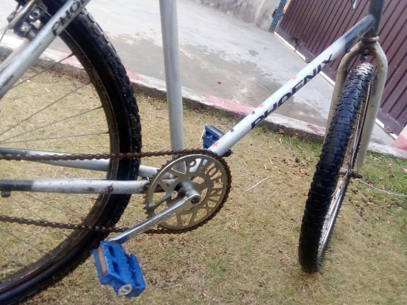 Phoenix used bicycle for sale 4