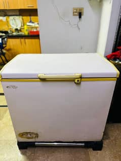 Freezer for Sell