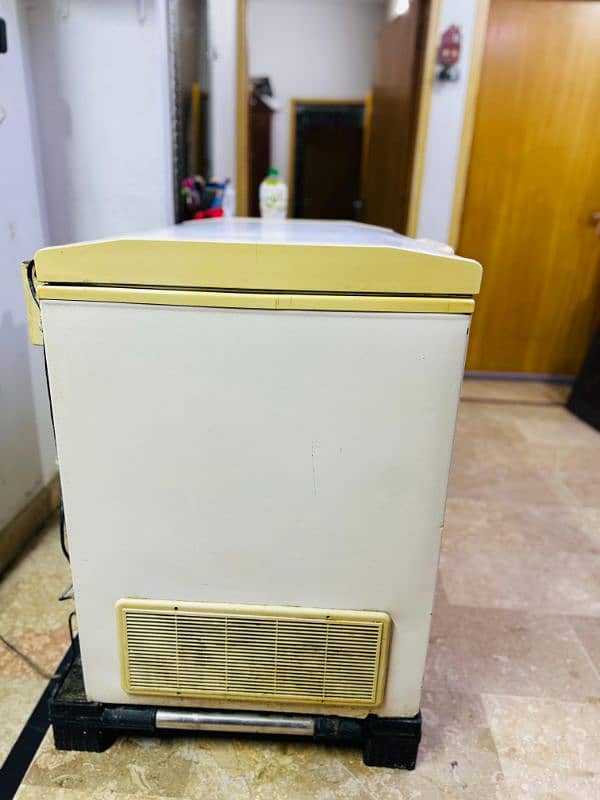 Freezer for Sell 2