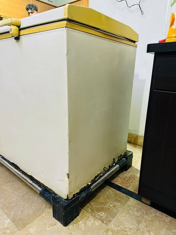 Freezer for Sell 3