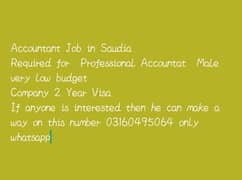 Accountant