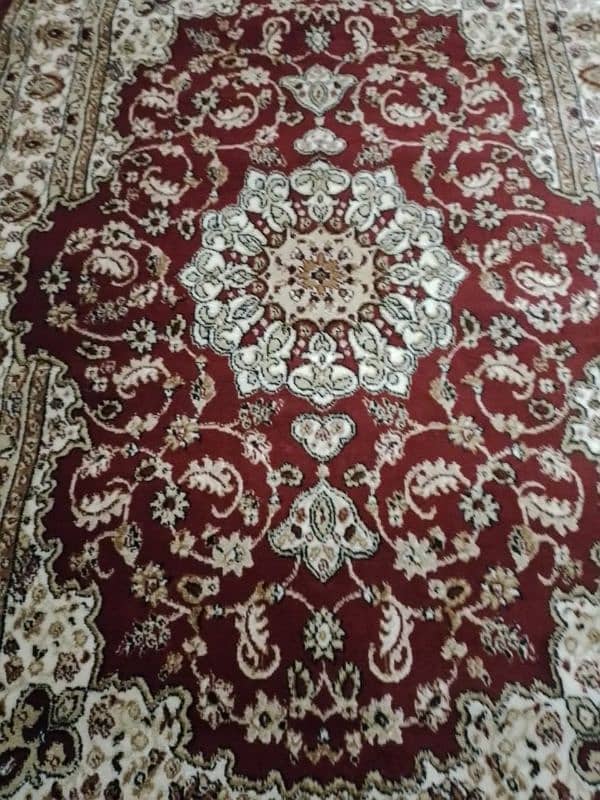 Brand new carpets 5