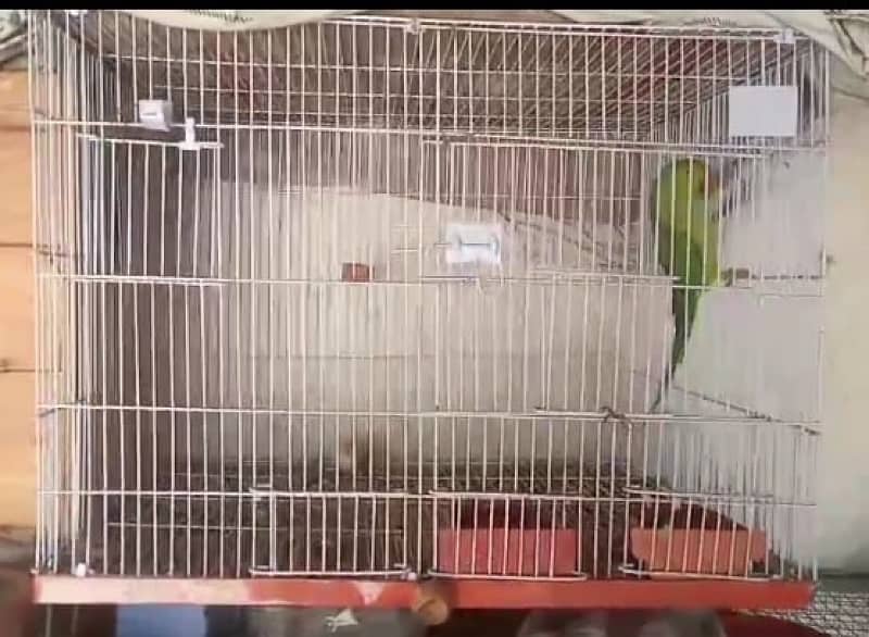 Birds Cage For Sale/ Parrot Cage / Iron Cage / Strong Cage / Cages 5