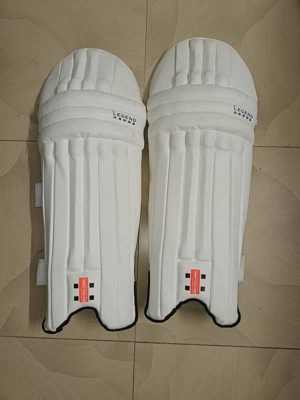 New cricket kit for kids 10-12 years old(urgent sale) 11