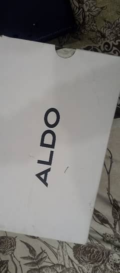 new Aldo shoes