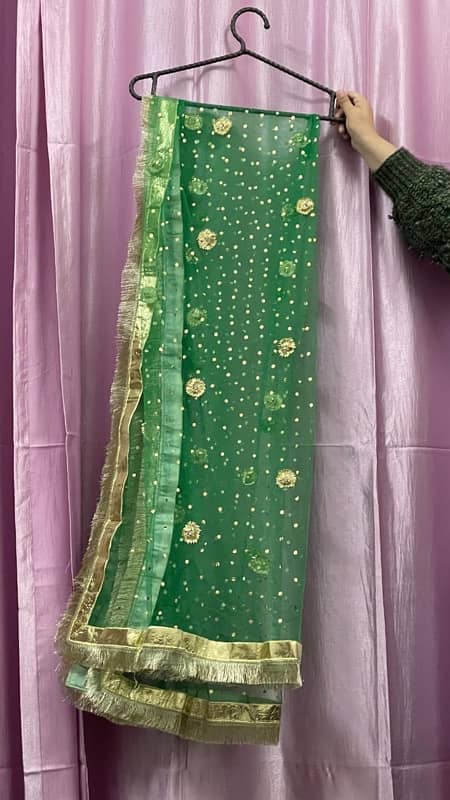 Mehendi lehenga for sale 0