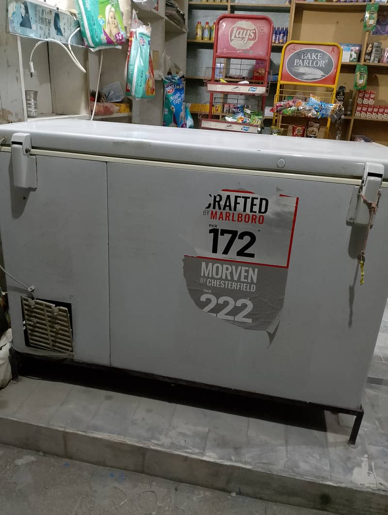 Pel Deep freezer single door 2