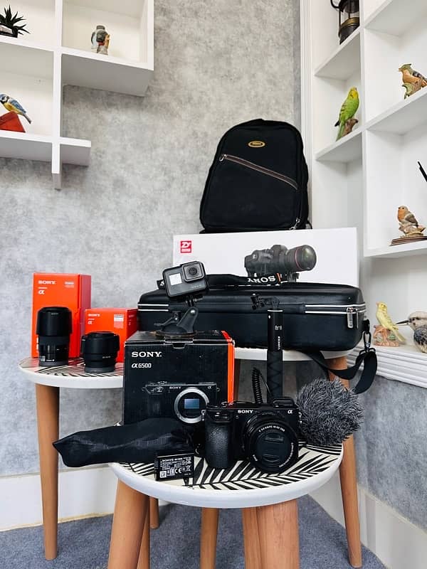 Sony Alpha 6500 With Crane 2 & lenses 0