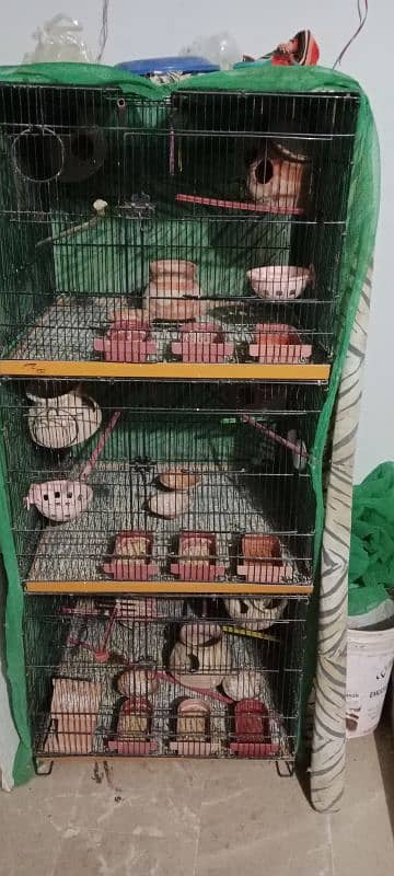 Cage with complete accessories 1