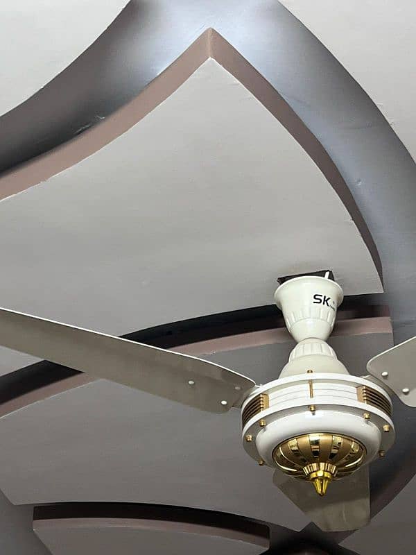 fancy ceiling Fan 1