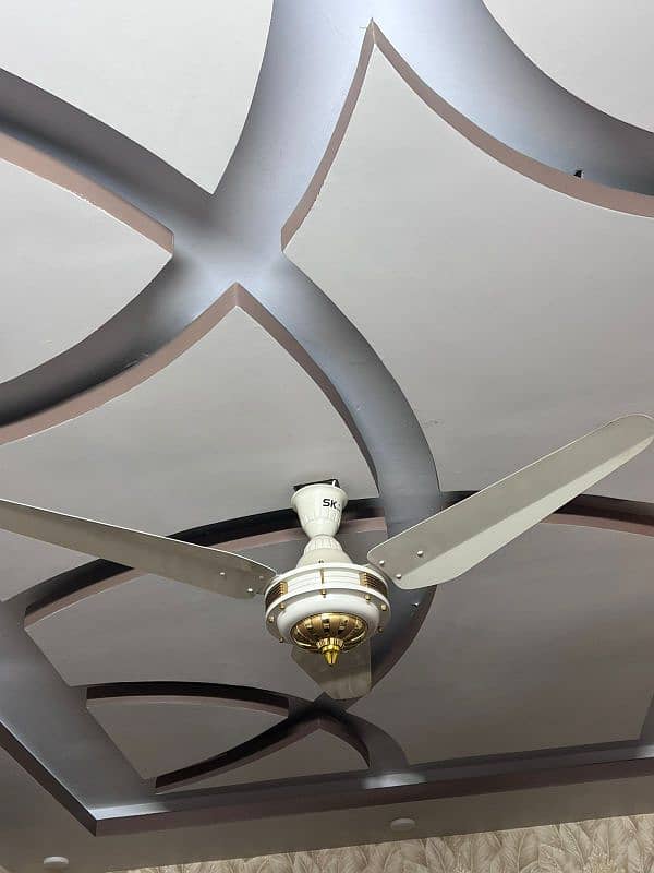 fancy ceiling Fan 2